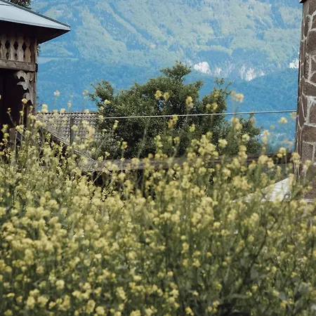 Alpine Nest Komenda